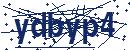 Code aus dem Bild eingeben