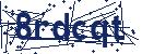 Code aus dem Bild eingeben