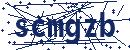 Code aus dem Bild eingeben