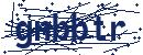 Code aus dem Bild eingeben