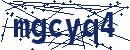 Code aus dem Bild eingeben