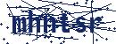 Code aus dem Bild eingeben