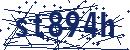 Code aus dem Bild eingeben