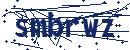 Code aus dem Bild eingeben