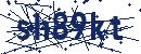 Code aus dem Bild eingeben