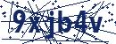 Skriv koden fra billedet