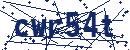 Code aus dem Bild eingeben