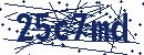 Code aus dem Bild eingeben