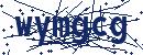 Code aus dem Bild eingeben