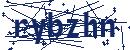 Code aus dem Bild eingeben