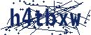 Code aus dem Bild eingeben