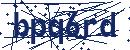 Code aus dem Bild eingeben