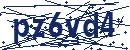 Skriv koden fra billedet