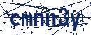 Code aus dem Bild eingeben