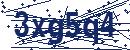 Code aus dem Bild eingeben