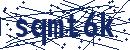 Code aus dem Bild eingeben