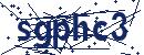 Code aus dem Bild eingeben