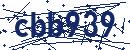 Code aus dem Bild eingeben