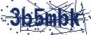 Code aus dem Bild eingeben