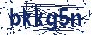 Code aus dem Bild eingeben
