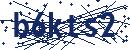 Code aus dem Bild eingeben