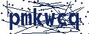 Code aus dem Bild eingeben