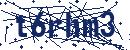 Code aus dem Bild eingeben