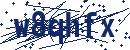 Code aus dem Bild eingeben
