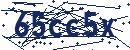 Code aus dem Bild eingeben