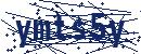 Code aus dem Bild eingeben