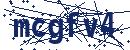 Code aus dem Bild eingeben