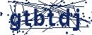 Code aus dem Bild eingeben