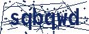 Code aus dem Bild eingeben