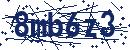 Code aus dem Bild eingeben