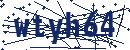Code aus dem Bild eingeben