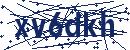 Code aus dem Bild eingeben
