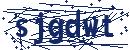 Code aus dem Bild eingeben