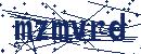 Code aus dem Bild eingeben