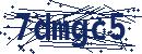 Code aus dem Bild eingeben