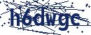 Code aus dem Bild eingeben