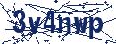 Code aus dem Bild eingeben