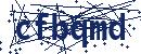 Code aus dem Bild eingeben