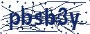 Code aus dem Bild eingeben