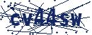 Code aus dem Bild eingeben