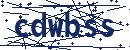 Code aus dem Bild eingeben