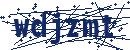 Code aus dem Bild eingeben