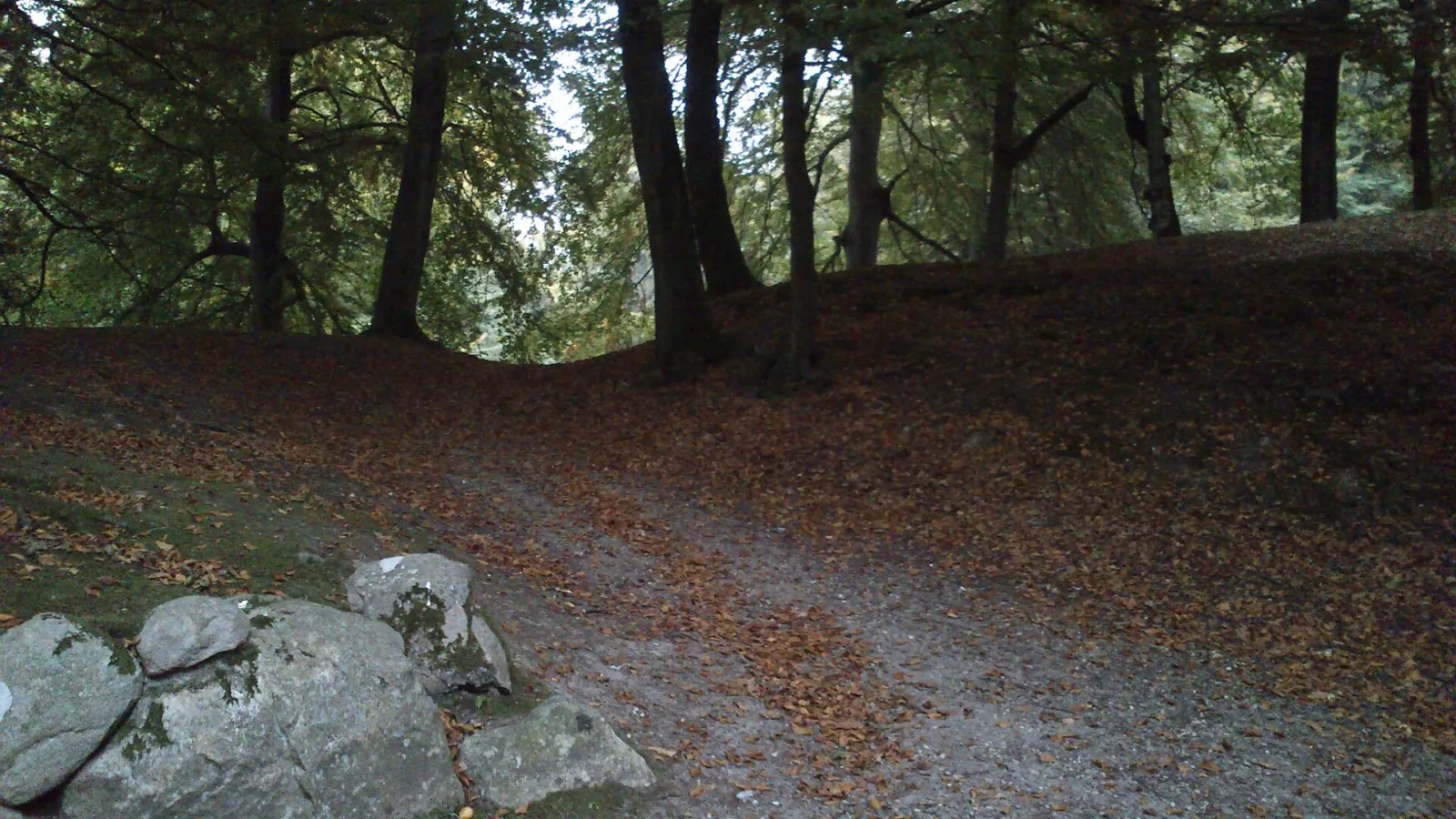 Marselisborg Dyrehave – foto fra Wikimedia Commons