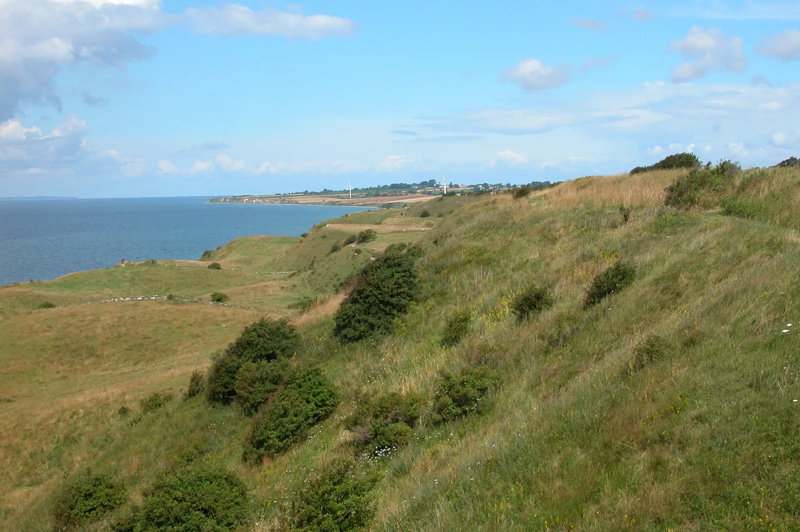 Voderup Klint – foto fra Wikimedia Commons