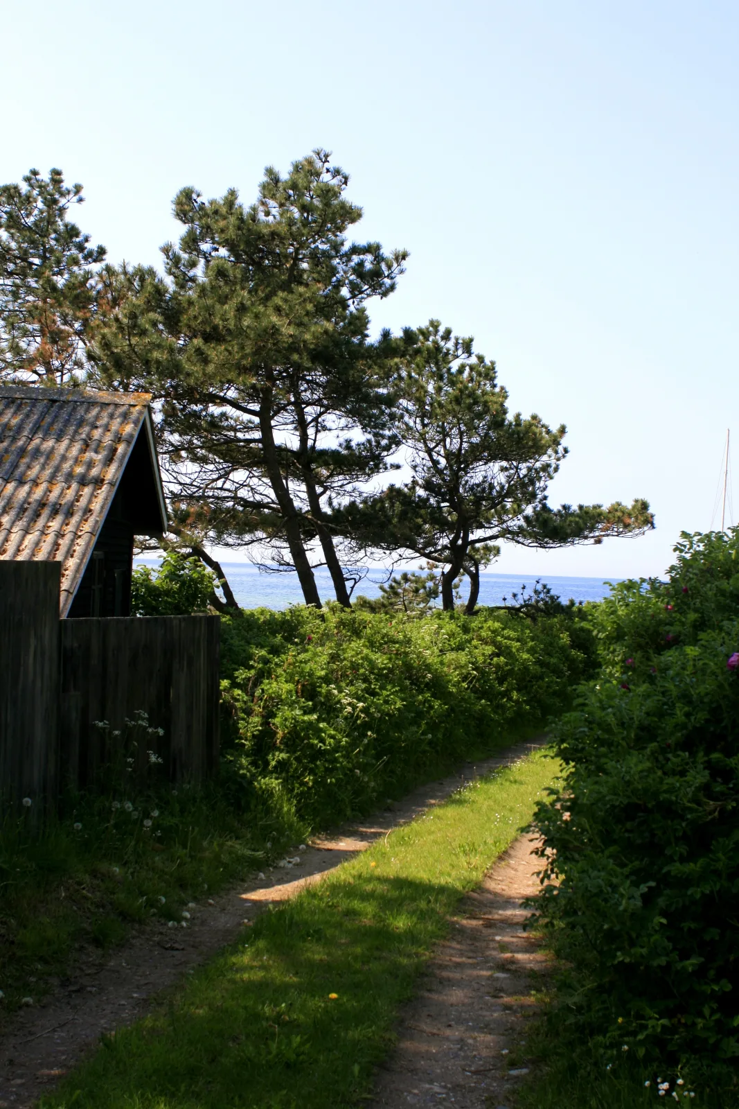 Badegewässer: BILDSØ STRAND – Foto bei Wikimedia Commons