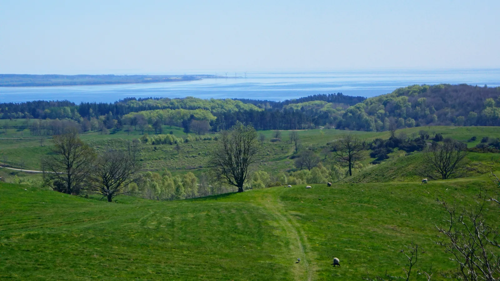 Agri Bavnehøj – Foto bei Wikimedia Commons